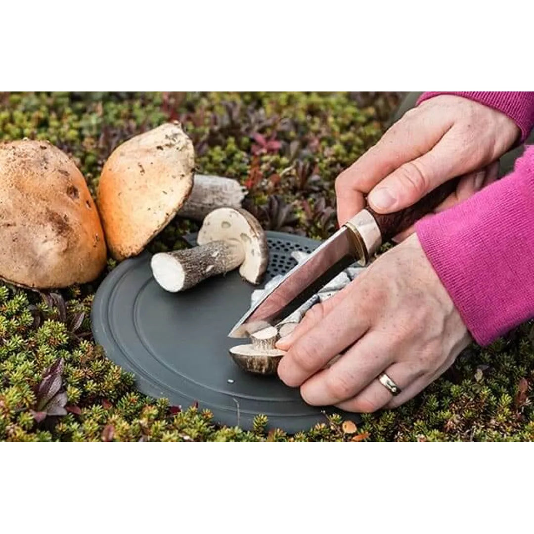 Multi disc|マルチディスク