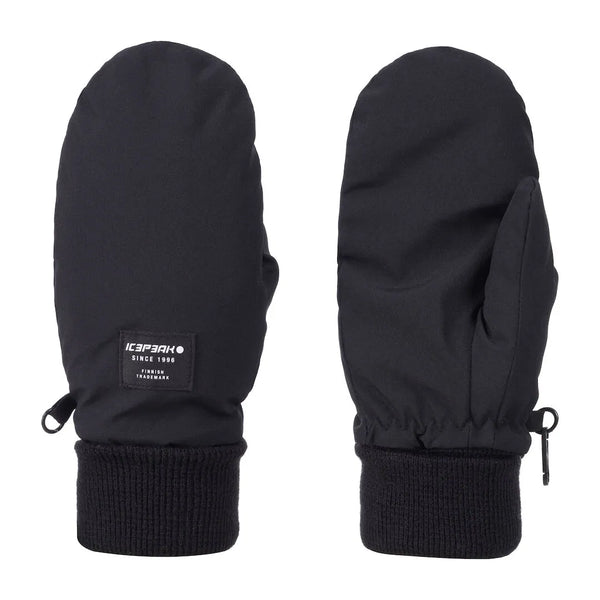 ICEPEAK HAYINGEN JR