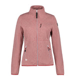 ICEPEAK ADEME