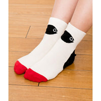 Kid's Socks Set|キッズソックスセット